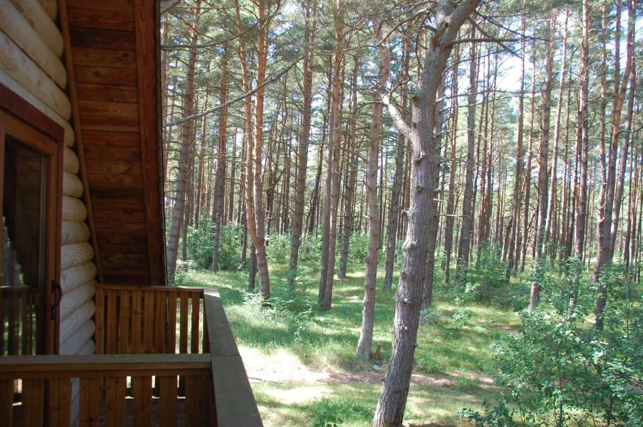 Edmundas Palanga Esterno foto