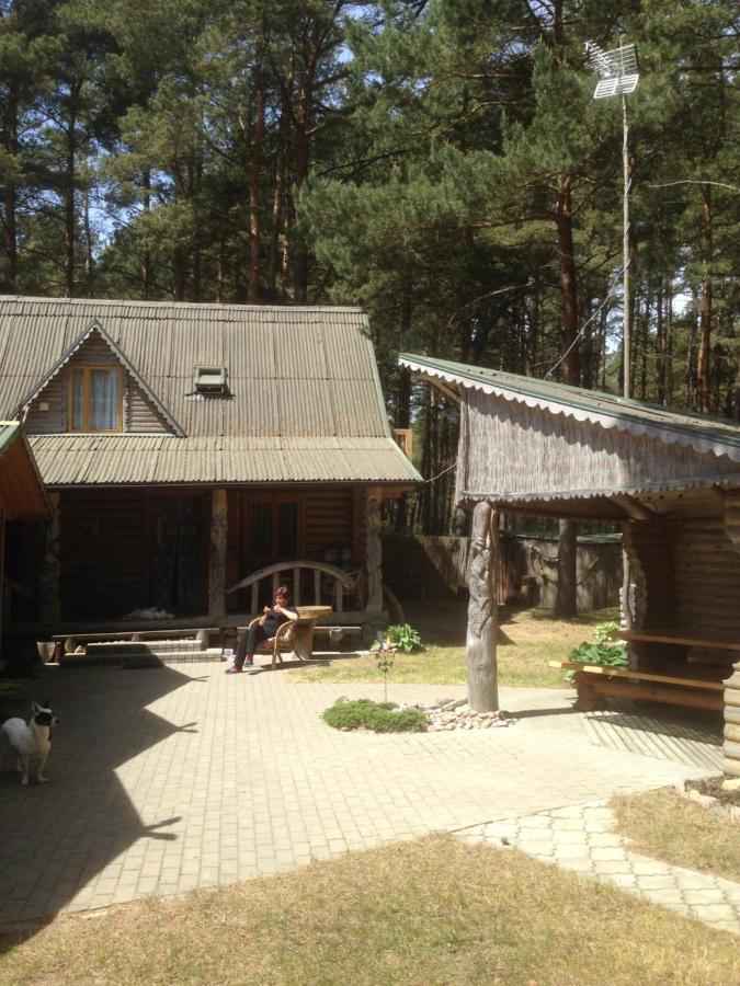 Edmundas Palanga Esterno foto